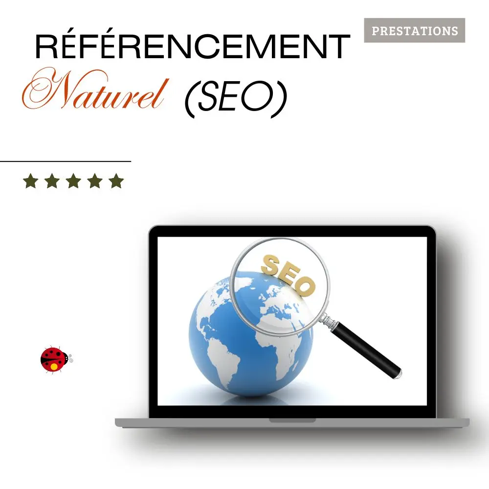 Référencement Naturel - SEO (Booster Local, Sans option)