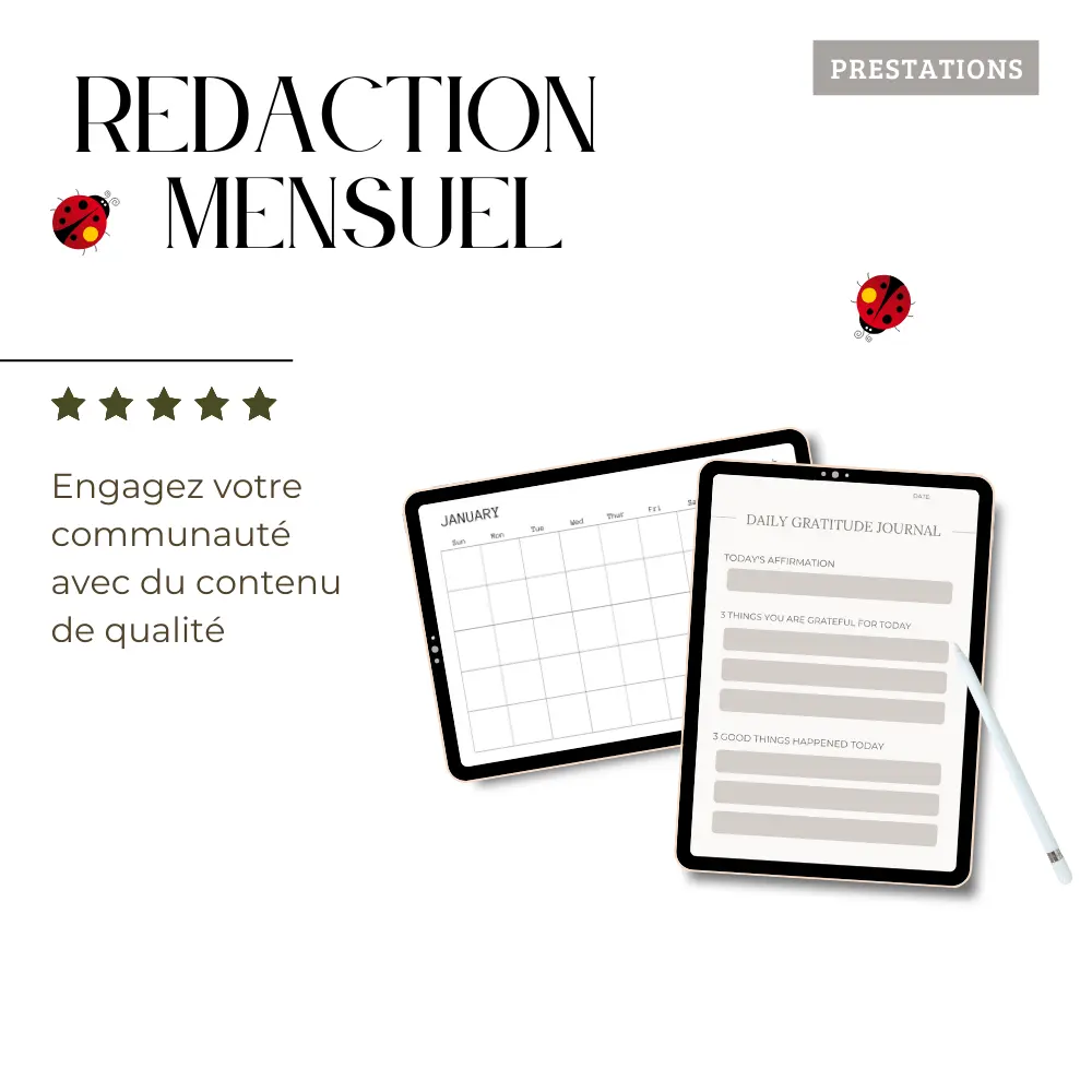 Rédaction de Contenus Mensuels pour Réseaux Sociaux