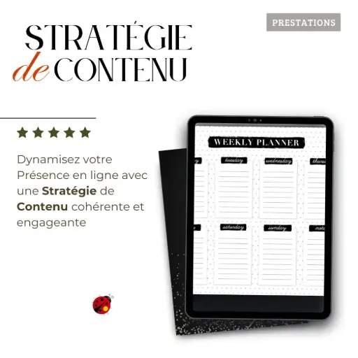 Stratégie de Contenu Annuelle pour Réseaux Sociaux