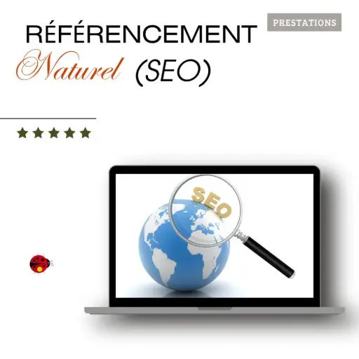 Référencement Naturel - SEO